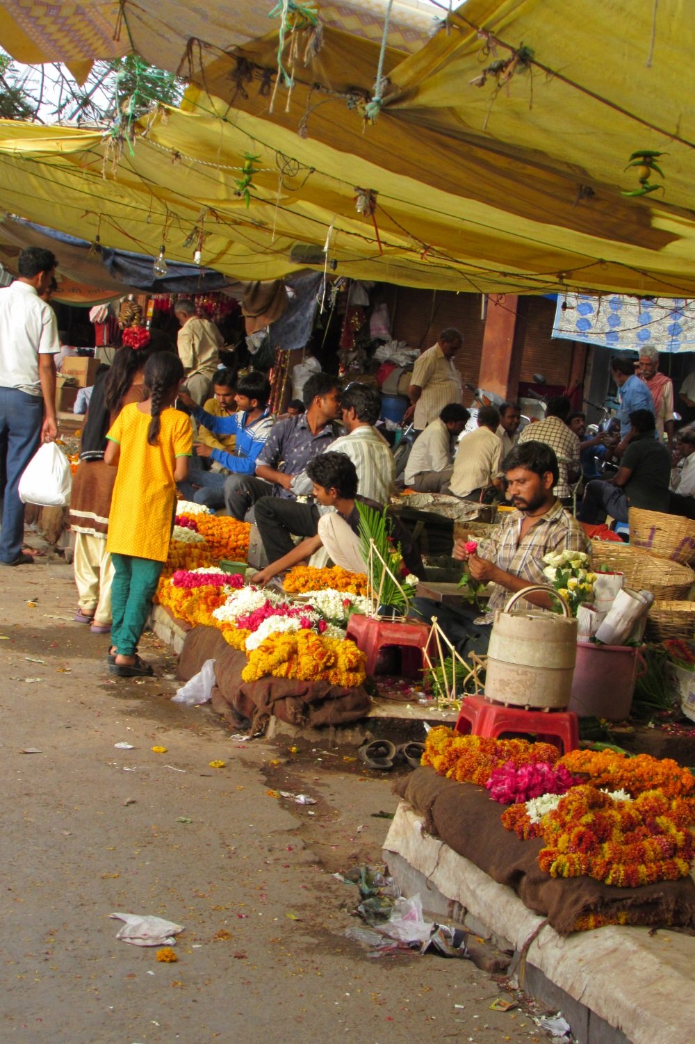 Magical India: Jaipur and Shahpura