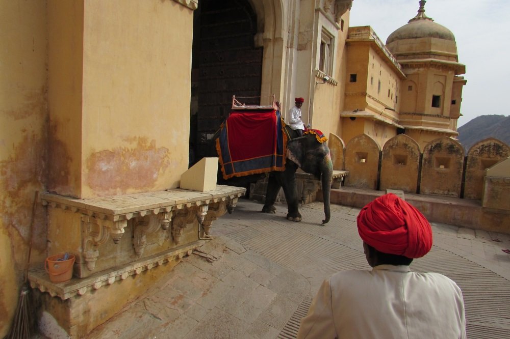 Magical India: Jaipur and Shahpura