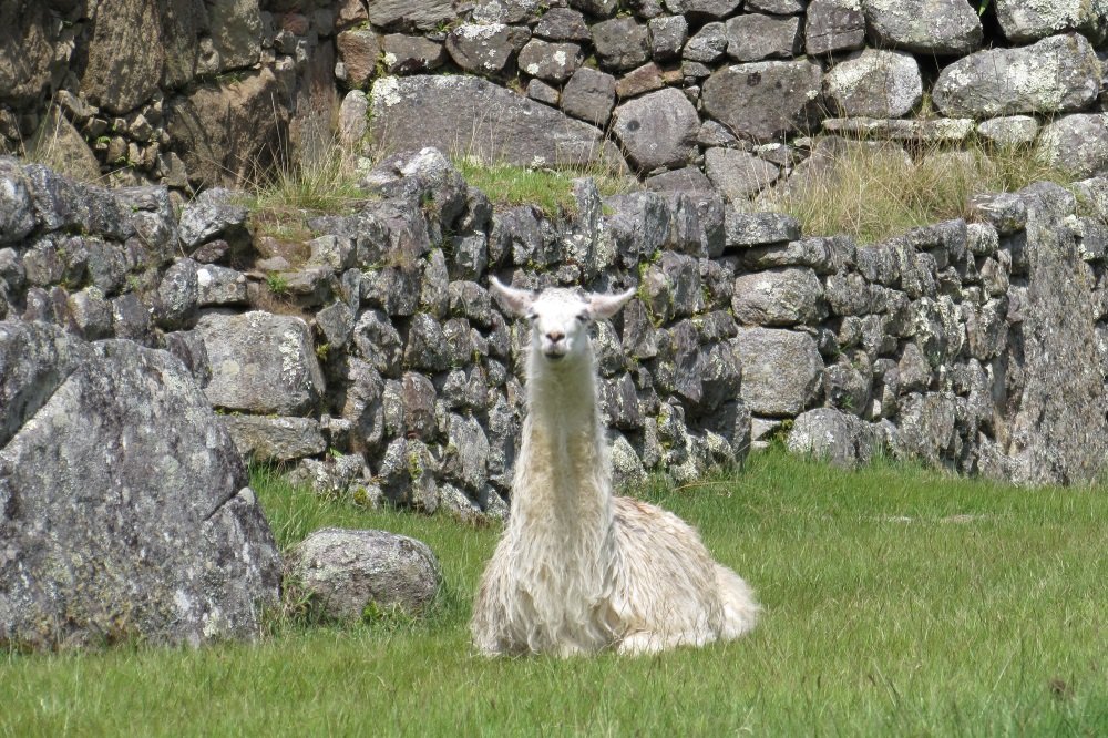 Cusco to Machu Picchu by Bus and Train