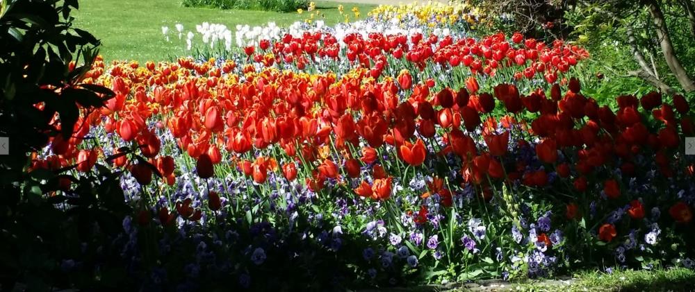 Gardens Copenhagen
