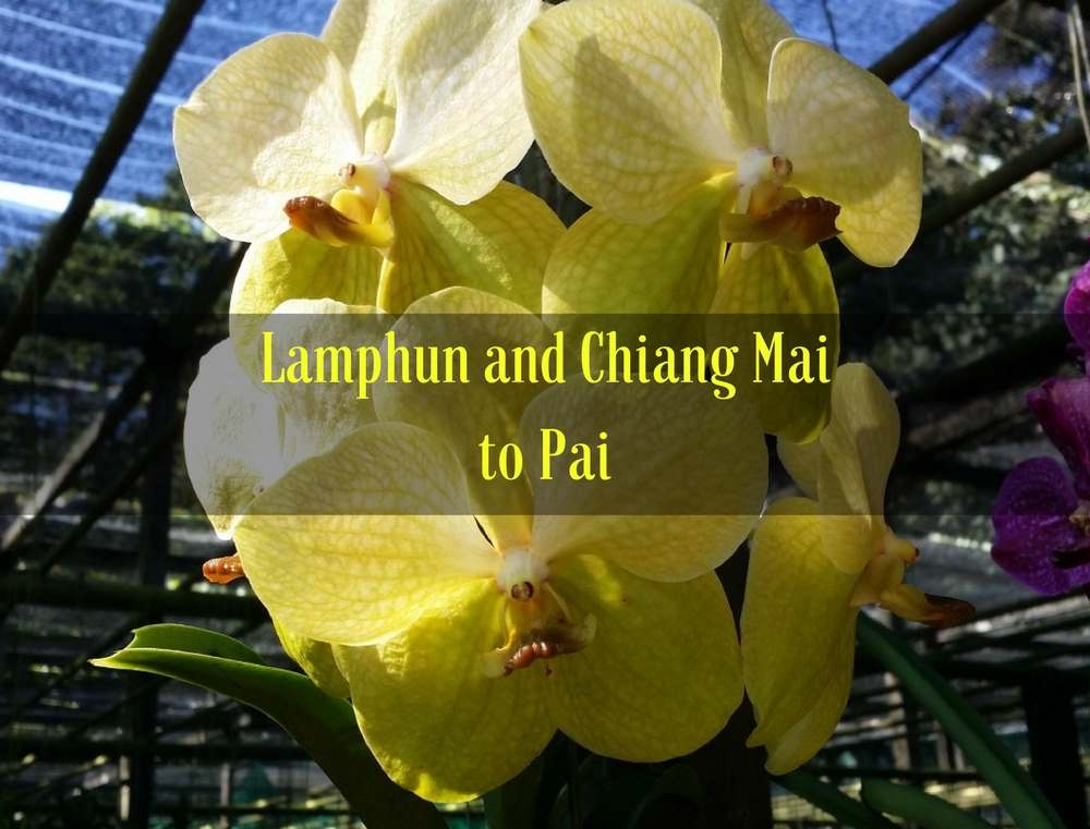 Lamphun Chiang Mai and Pai tour