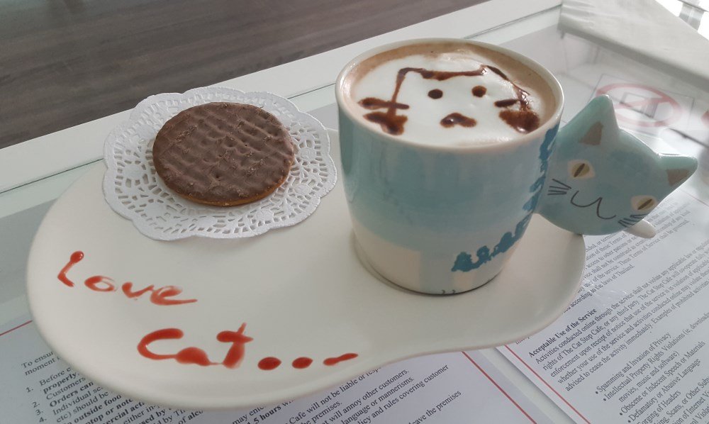 Coffee at the Cat Cafe