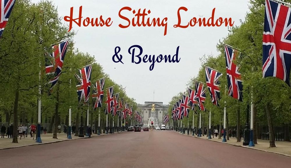 House Sitting London