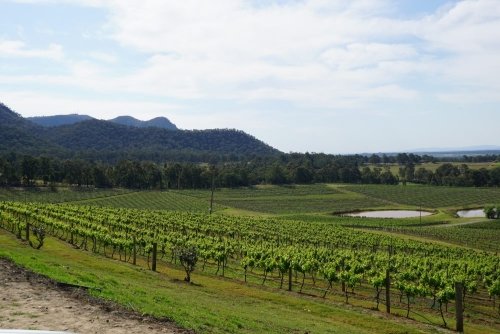 Places to Visit in NSW