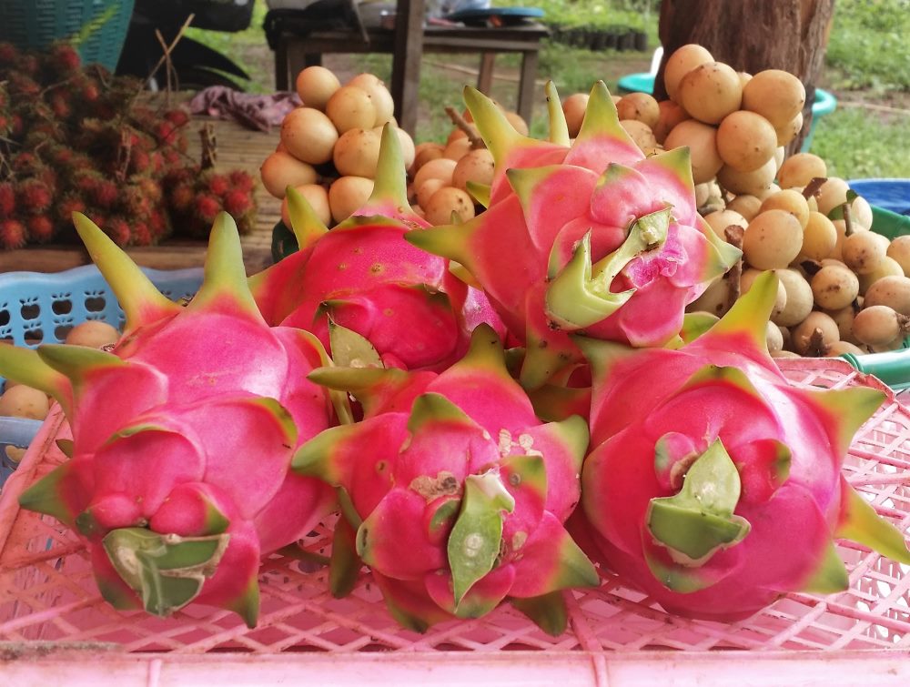 Chiang Dao fruit stalls