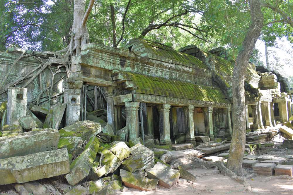 Ta Prohm or Tomb Raider Temple Angkor Wat