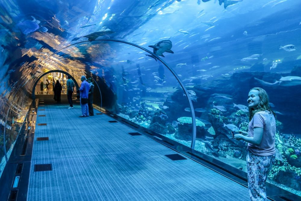 Dubai Mall