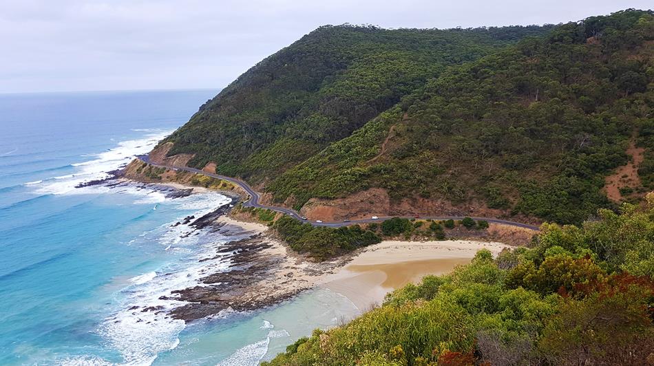 Great Ocean Road Self Drive Tour Teddys Lookout Lorne