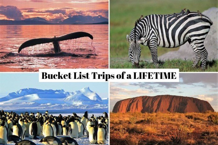 Best Bucket List Trips of a Lifetime