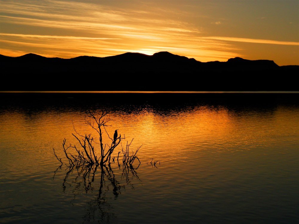 Lake Moogerah in Queensland at Sunset