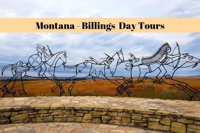 Billings Day Tours. What to see and do during a day trip from Billings in Montana 