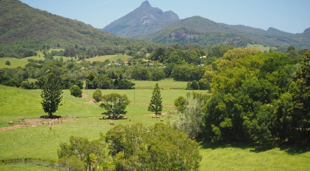 Murwillumbah in New South Wales