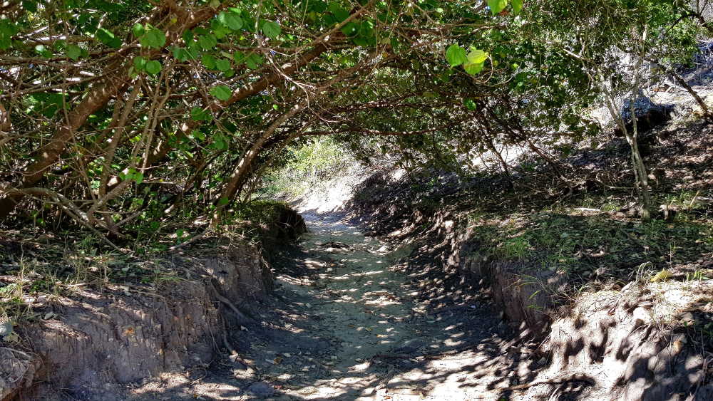 Great Keppel Island walking track