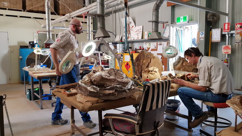 Fossil Preparation Laboratory at the Australian Age of Dinosaurs Winton