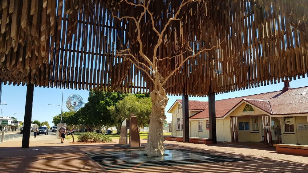 Tree of Knowledge in Barcaldine