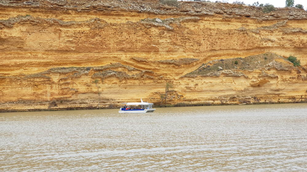 Dragonfly boat