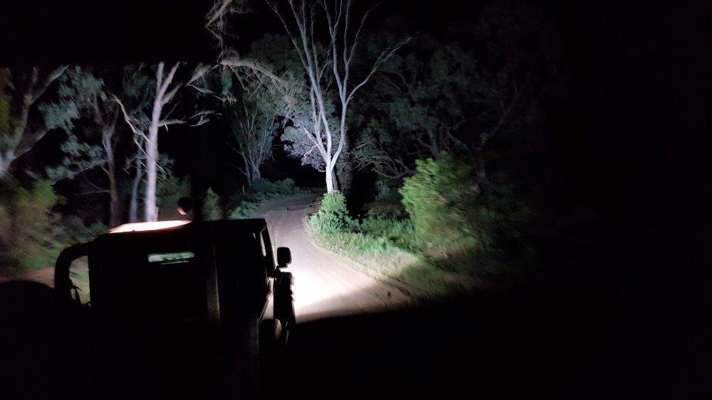 Nocturnal Tour at dark sky reserve South Australia