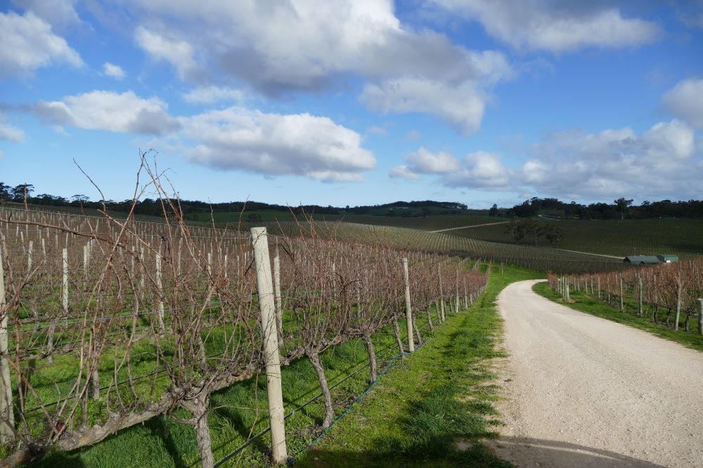 Visit Adeliade Hills Vineyards. One of the best weekend getaways from Adelaide