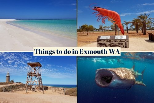 Things to do in Exmouth WA