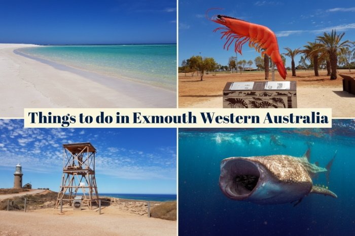 Things to do in Exmouth Western Australia