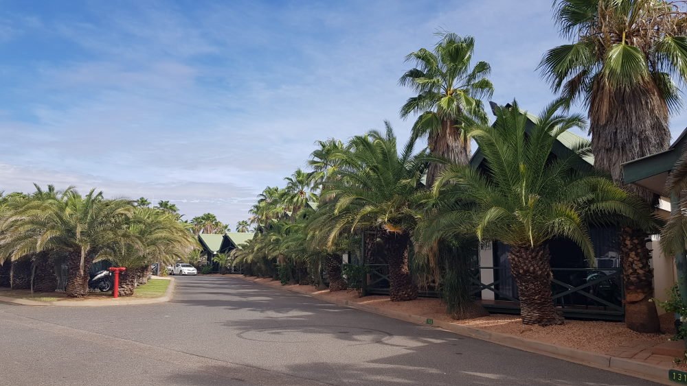 Uluru travel guide Desert Palms Alice Springs