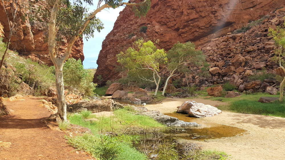Uluru travel guide Simpsons Gap near Alice Springs