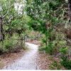 Fraser Island Walkway