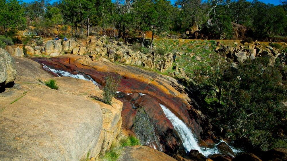 Take day trips from Perth by visiting John Forrest National Park.