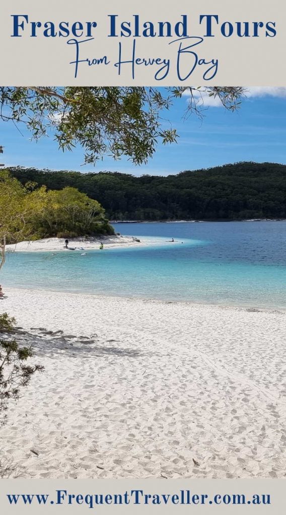 Best Fraser Island 1 & 2 Day tours