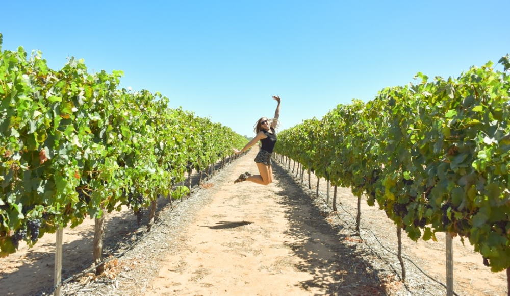 Wine tour Swan Valley Western Australia