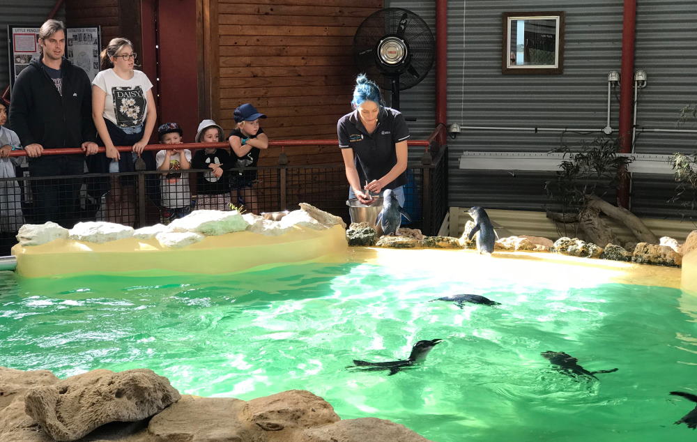 Penguin Island Discovery Centre Western Australia