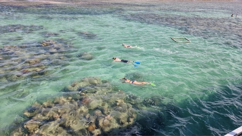 Green Island swimming