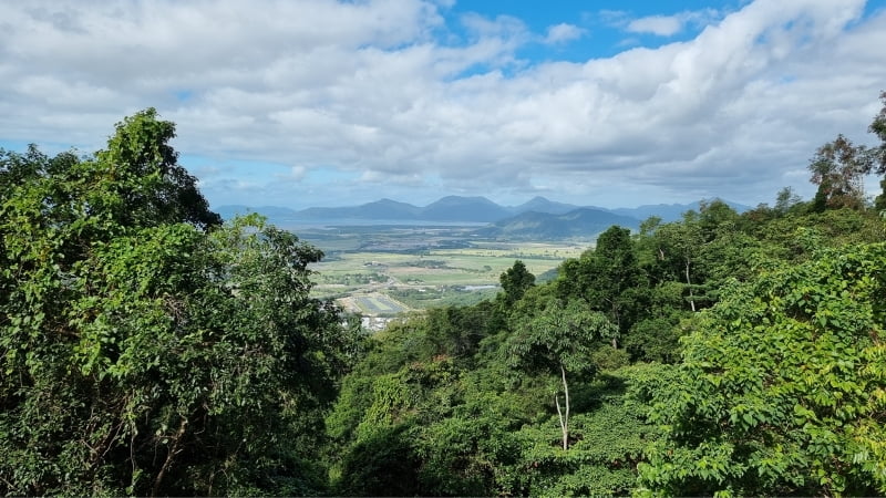 Henry Ross Lookout
