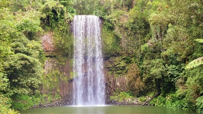 Take a day trip from Cairns to Milla Milla Falls