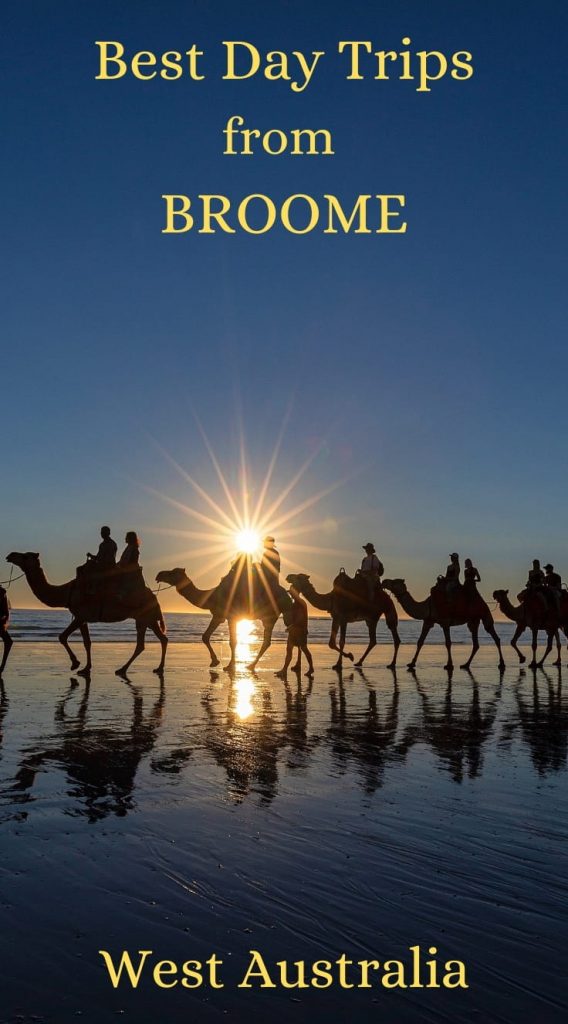 Best Broome day tours