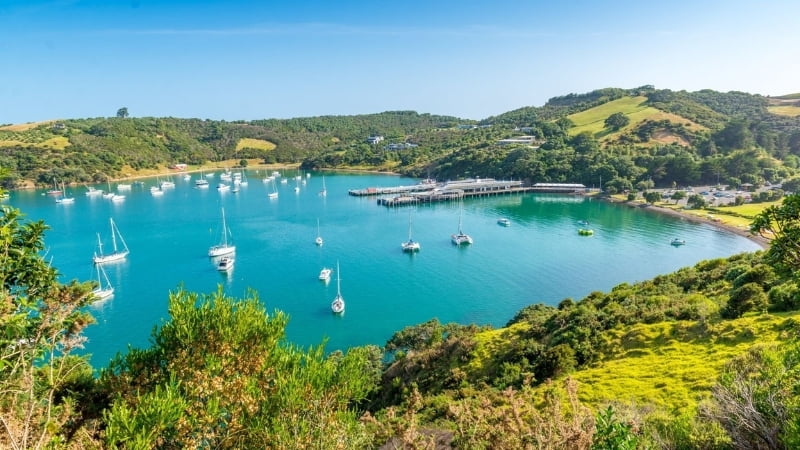 Put Waiheke Island on your campervan road trip of New Zealand