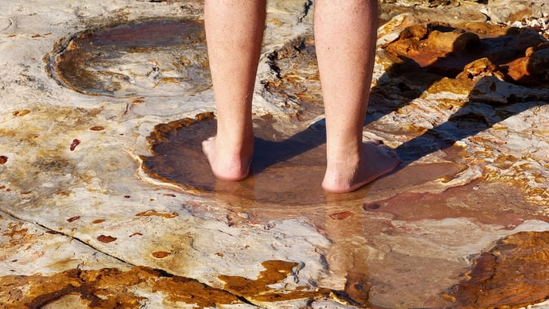 looking for Dinosaur footprints Broome