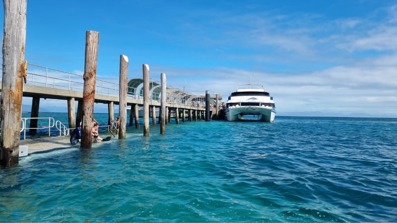 No stay in Cairns would be complete without taking a cruise to the Great Barrier Reef