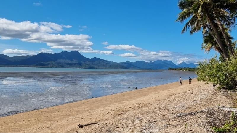Darwin to Cairns road trip People walking along the sandy shoreline of Cardwell Beach, with views of palm trees, calm coastal waters and the Cardwell Range in north Queensland