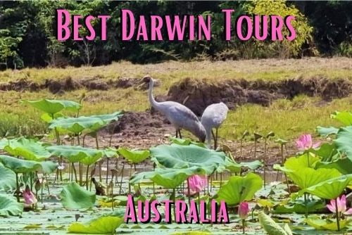 Top tours from Darwin Australia