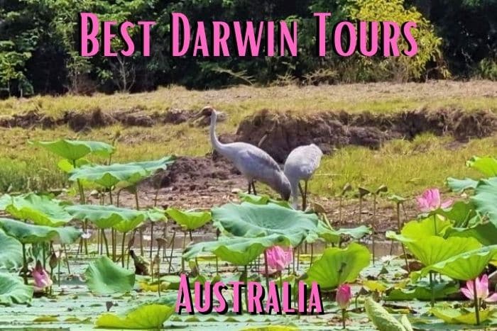 Best Darwin Tours Australia