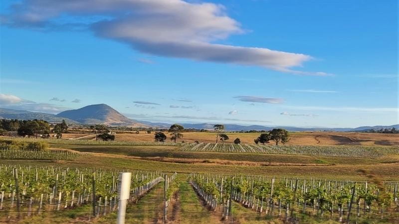 When taking a Hobart to Launceston drive be sure to visit the Coal Valley Wine Trail.