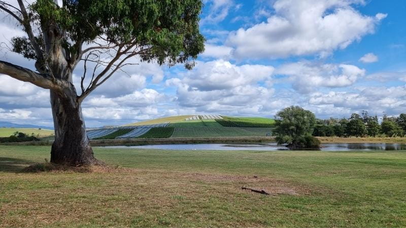 Jansz Winery Tasmania