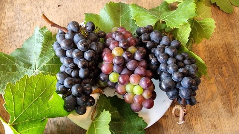 Grapes