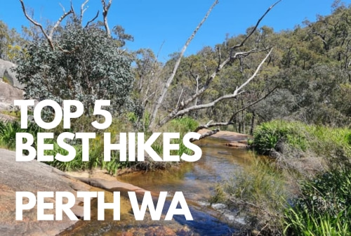 Top 5 best hikes in Perth WA