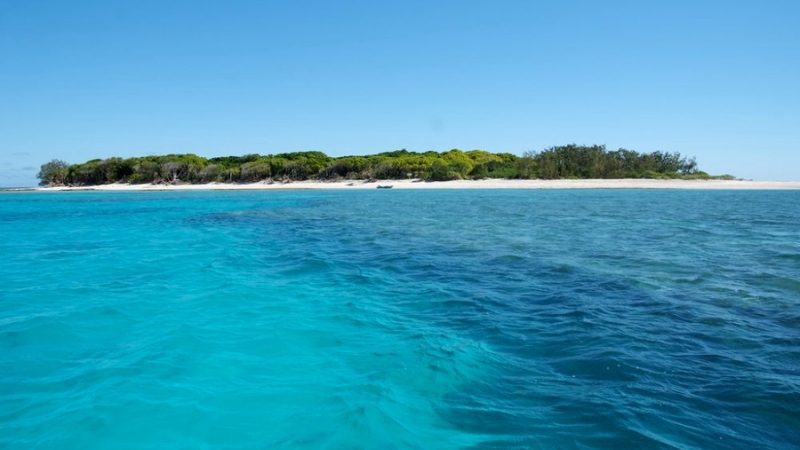 Visit Bundaberg Lady Musgrave Island near Bundaberg