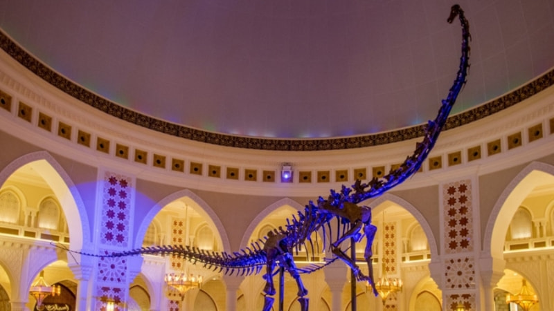 5 Days in Dubai Attractions in the Malls are amazing