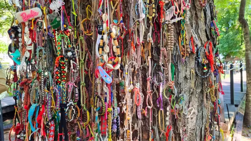 Phnom Penh Killing Fields tour Colourful bangles decorating The Killing Tree
