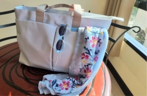 Travel Savings ResMed Travel CPAP Tote bag